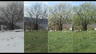 "Into Summer" - HD winter-spring-summer season transition sequences