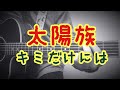 キミだけには / みのる(サニークラッカー) / 原曲『太陽族』
