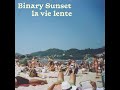 Binary sunset  la vie lente dition mare basse