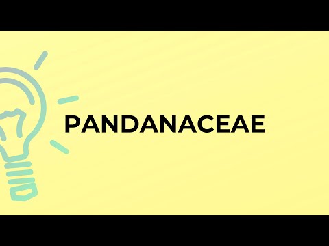 Pandan English Meaning