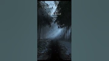 سورة الغاشية - تلاوة خاشعة للقارئ عبد الرحمن مسعد