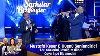 Mustafa Keser Hüsnü Şenlendirici - Ahu Gözlerini Sevdiğim Dilber Çayır İnce Biçemedim