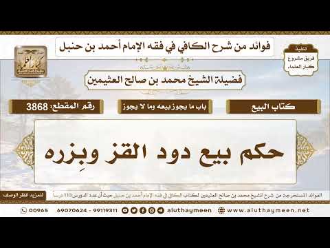 [3868] حكم بيع دود القز وبِزره - تعليقات على الكافي لابن عثيمين