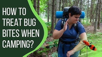 How to Treat Bug Bites when Camping? | CampDotCom |