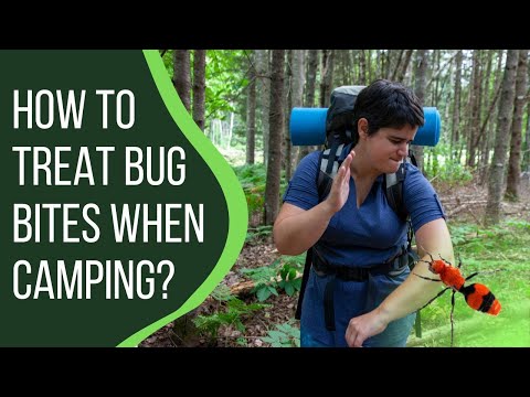 How to Treat Bug Bites when Camping? | CampDotCom |