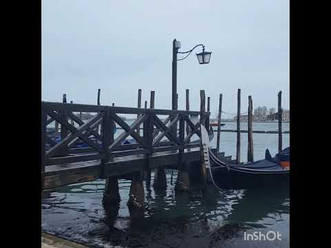 Video: Ekskursione në Venecia