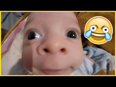 ☺︎Laugh☺︎ Try Not to Laugh Challenge (VERY HARD ❗) Laugh and You Lose