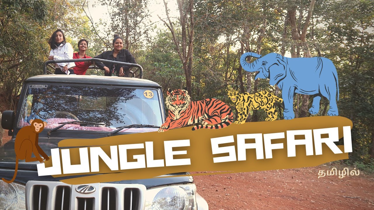 Jungle safari- Dandeli || First Safari Experience தமிழ் || Travel Vlogs || Part-II