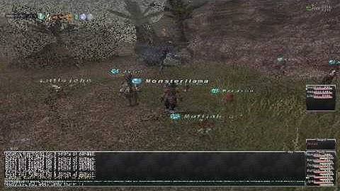 Final Fantasy XI Online: Tier 3 Voidwalker NM - Orcus - 2010.05.30