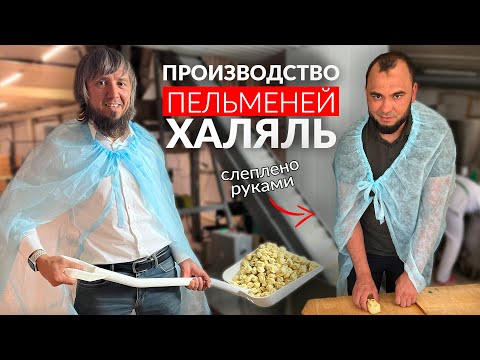 Производство пельменей Халяль / Из чего состоят Пельмени и Манты?