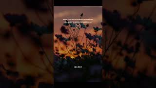 Download Lagu STORY WA KUDU BAKOH PART #10 MP3