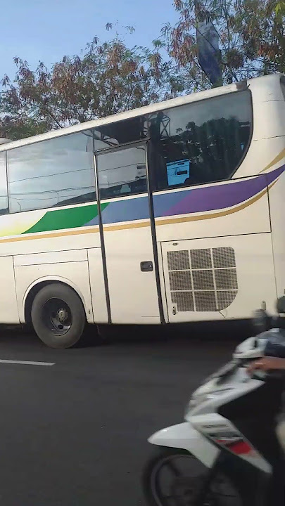 Bus SINAR JAYA Jurusan JAKARTA - PURWOREJO.. PO Trayek Terbanyak di Pulau Jawa @sinarjaya official