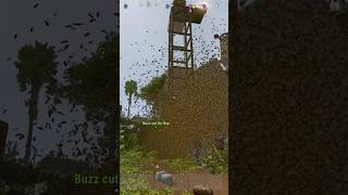 1000 Bee Grenades Crashed the Server #rust #shorts