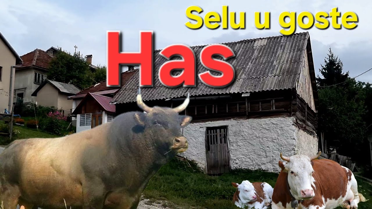  😮 Ostao sam bez riječi u selu Has kod Novog Travnika!🌄 Šta sam zatekao u selu!