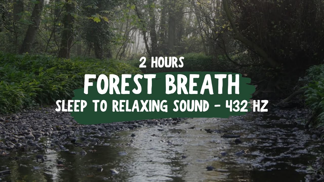 Sleep to Natural & Deep Forest Sounds - Forest Breath @ 432Hz