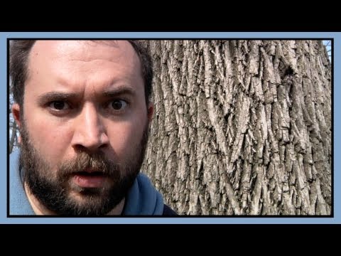 Ode to Earth
