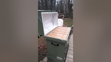 January 2022 remodel of the layens hive