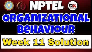Organizational Behaviour Individual Dynamics in Organisation Assignment 11 Solution #week11