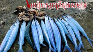 របៀបស្ទូចត្រីផ្ទូងសមុទ្រ) ដាច់មាត់អស់ច្រើនណាស់