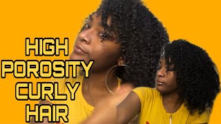 Updated Curly Hair Routine | High Porosity Hair