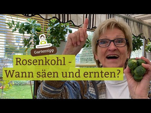 Video: Erfahre, wie man Rosenkohl anbaut