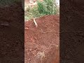 trench excavation for wall fencing #construction