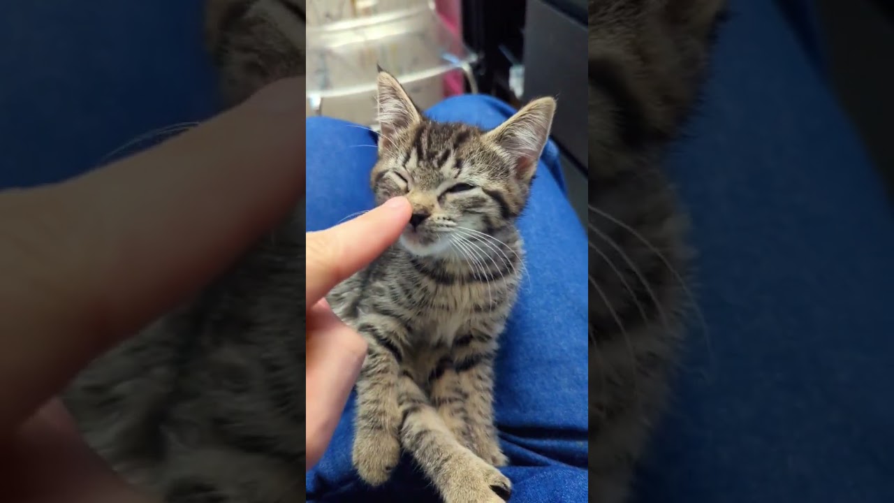 Weenie shows her gratitude 