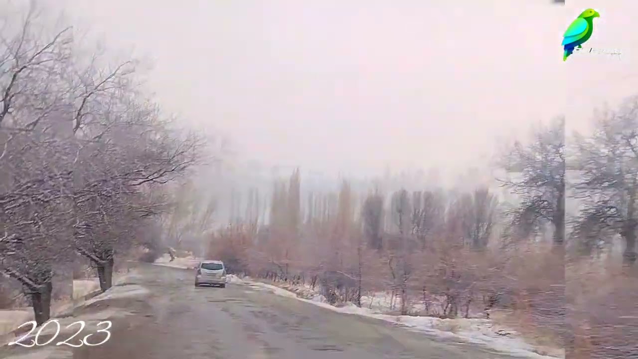 д Суркат 2023. 2026