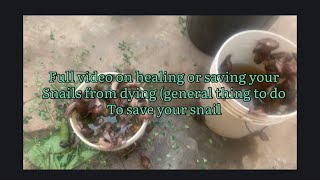 healing and saving your snails (all the things to do to save your snails from dying ).