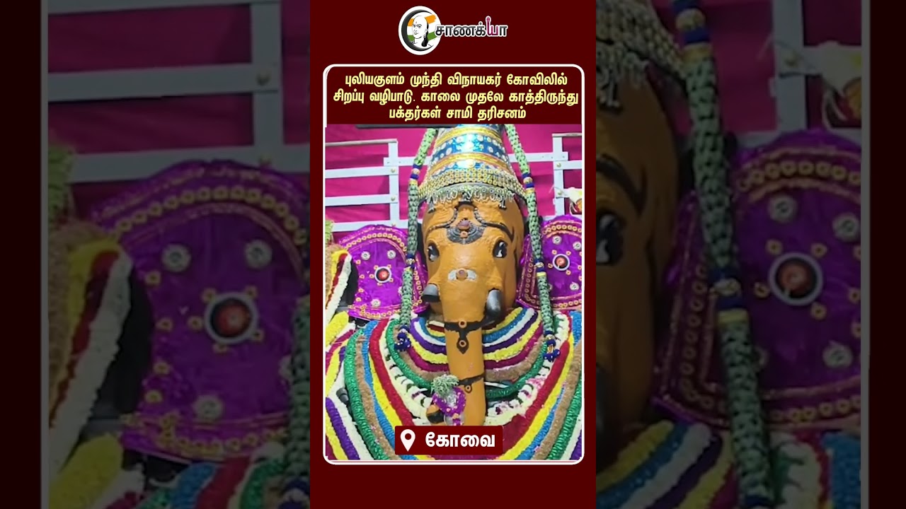 ⁣புலியகுளம் முந்தி விநாயகர் கோவிலில் சிறப்பு வழிபாடு. காலை முதலே காத்திருந்து பக்தர்கள் சாமி தரிசனம்