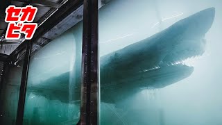 廃屋で見つかった不気味なもの10選