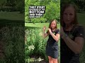 Let’s check out Culver’s root #shortsfeed #shortsvideo #shorts