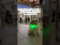 ゴディバのチョコ頼まれてゴリラのチョコ買ってきたら喧嘩になりました🦍