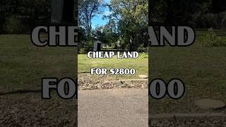 Cheap land for $2800 #foryou #fyp #shorts #land #cheap #realestate #property #sale #forsale #viral