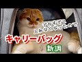 ５.５キロのおデブちん猫用にキャリーケースを買いました！