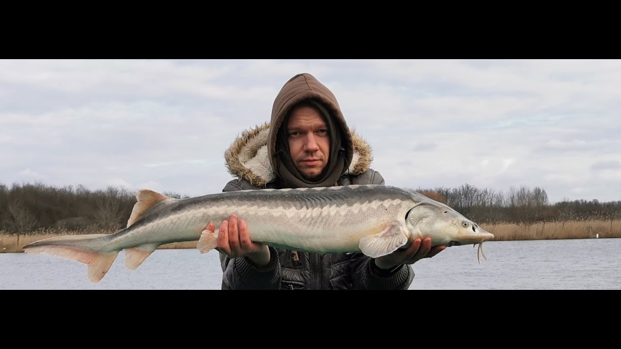 Eco horgászat - 31. rész - A pazonyi vértes (Pazonyi horgásztanya)