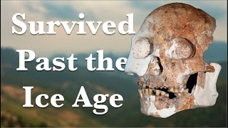 The Mystery of the Red Deer Cave People