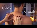 Sleep-Inducing ASMR 💤 Crisp Back Scratching for Insomnia (No Talking)