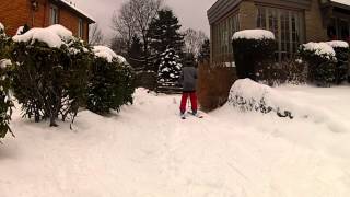 Backyard edit 2