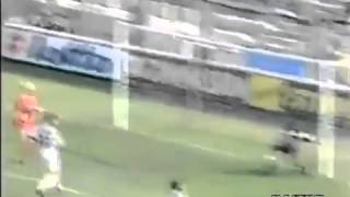 Celebrity Archivio Bari Calcio - Parma-Bari 3-1 1995-1996 Baggio D., Andersson K., Inzaghi F.,Piro Net Worth