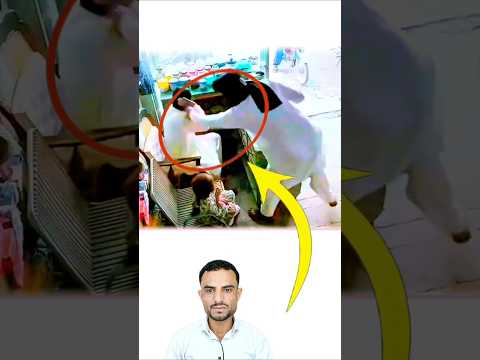 طفلة تدفع ثمن كرامة أبيها ب مصاصة حين يصبح التسامح كل ما يملكه الصغير أمام جبروت اللسان 