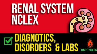 Renal System Kidney Disorders NCLEX Review | Diagnostics, Labs & Failure