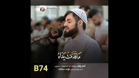الشيخ رعد محمد الكردي ( ما تيسر من سورة النبأ )