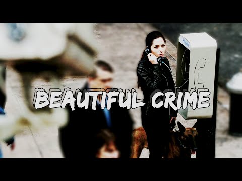 person of interest | beautiful crime [FAREWELL POI]