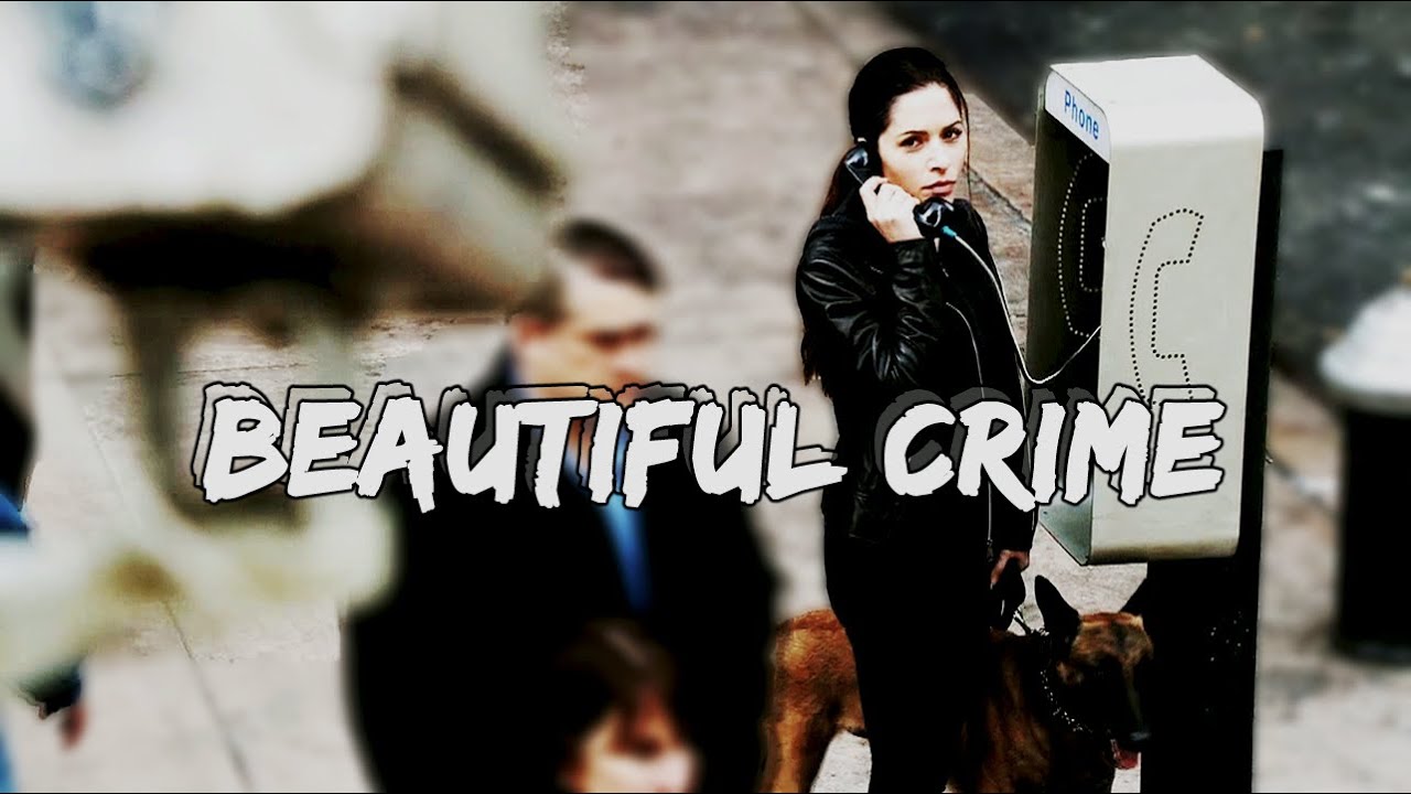 person of interest | beautiful crime [FAREWELL POI]