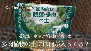 【園芸用土】多肉植物の土には何が入っている？【調べてみました】