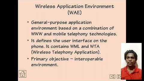overview of WAP( Wireless Application Protocol)