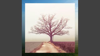 #Echoes - Devessei