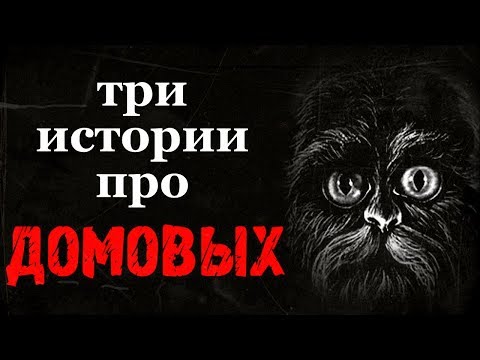 Видео: Истории на ночь (3в1): 1.Сказка, 2.Хозяин домовой, 3.Домовой