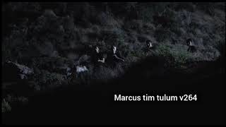 Marcus tim tulum Resimi